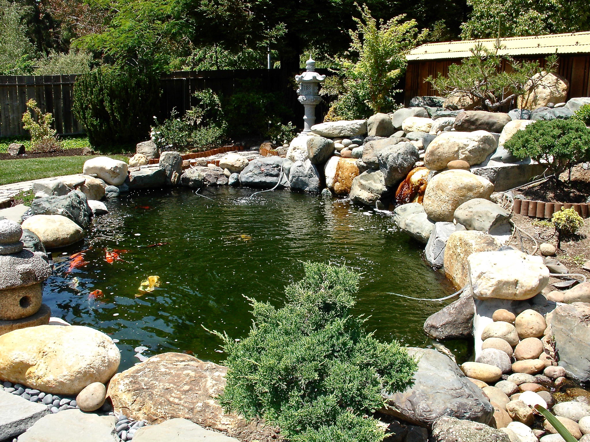 A Nice Pond
